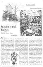 Better Homes & Gardens October 1933 Magazine Article: Sunshine and Flowers