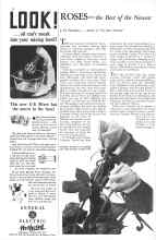 Better Homes & Gardens October 1933 Magazine Article: ROSES---the Best of the Newest