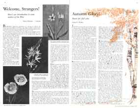 Better Homes & Gardens October 1933 Magazine Article: Page 20