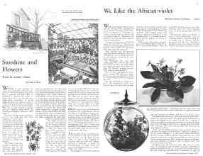 Better Homes & Gardens October 1933 Magazine Article: Page 22