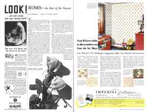 Better Homes & Gardens October 1933 Magazine Article: Page 34