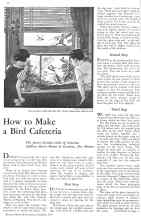 Better Homes & Gardens November 1933 Magazine Article: How to Make a Bird Cafeteria