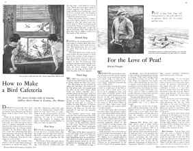 Better Homes & Gardens November 1933 Magazine Article: Page 18