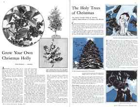 Better Homes & Gardens December 1933 Magazine Article: Page 16