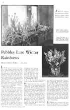 Better Homes & Gardens January 1934 Magazine Article: Pebbles Lure Winter Rainbows