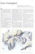 Better Homes & Gardens January 1934 Magazine Article: From Catalogland