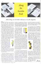 Better Homes & Gardens January 1934 Magazine Article: Along the Garden Path