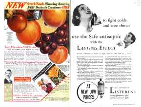 Better Homes & Gardens January 1934 Magazine Article: Page 2