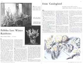 Better Homes & Gardens January 1934 Magazine Article: Page 20