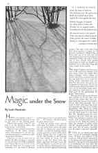 Better Homes & Gardens February 1934 Magazine Article: Magic under the Snow