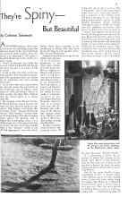 Better Homes & Gardens February 1934 Magazine Article: They're Spiny--But Beautiful