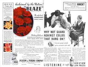 Better Homes & Gardens February 1934 Magazine Article: Page 2