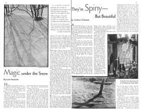 Better Homes & Gardens February 1934 Magazine Article: Page 30