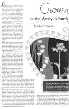 Better Homes & Gardens March 1934 Magazine Article: Crown Jewels of the Amaryllis Family How to Grow Them