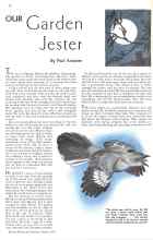 Better Homes & Gardens March 1934 Magazine Article: OUR Garden Jester