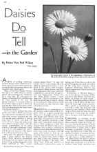 Better Homes & Gardens March 1934 Magazine Article: Daisies Do Tell--in the Garden