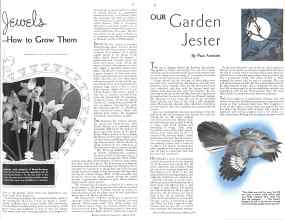 Better Homes & Gardens March 1934 Magazine Article: Page 19