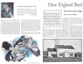Better Homes & Gardens March 1934 Magazine Article: Page 21