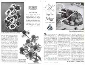 Archive of Better Homes & Gardens March 1934 Magazine: Page 28