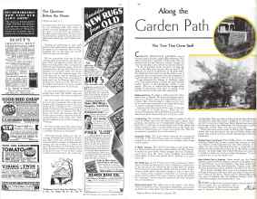 Archive of Better Homes & Gardens March 1934 Magazine: Page 85