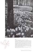 Better Homes & Gardens April 1934 Magazine Article: Life