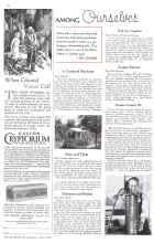 Better Homes & Gardens April 1934 Magazine Article: Pansies Caused All!