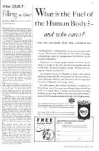 Better Homes & Gardens April 1934 Magazine Article: What QUILT Filling to Use?