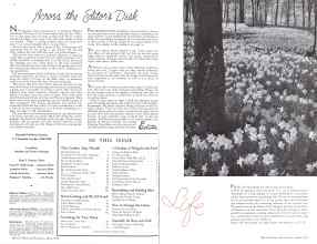 Better Homes & Gardens April 1934 Magazine Article: Page 4
