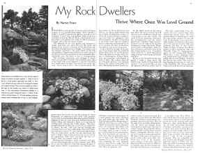 Better Homes & Gardens April 1934 Magazine Article: My Rock Dwellers