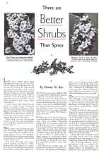 Better Homes & Gardens May 1934 Magazine Article: There are Better Shrubs Than Spirea