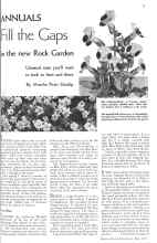 Better Homes & Gardens May 1934 Magazine Article: ANNUALS Fill the Gaps in the new Rock Garden
