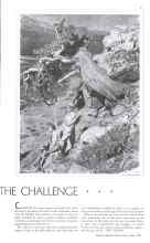 Better Homes & Gardens June 1934 Magazine Article: THE CHALLENGE