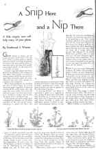 Better Homes & Gardens June 1934 Magazine Article: A Snip Here and a Nip There