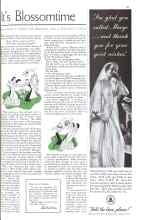 Better Homes & Gardens June 1934 Magazine Article: It's Blossomtime