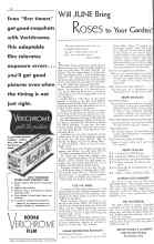 Better Homes & Gardens June 1934 Magazine Article: Will JUNE Bring Roses to Your Garden?