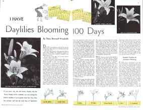 Better Homes & Gardens June 1934 Magazine Article: I HAVE Daylilies Blooming 100 Days