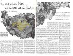 Better Homes & Gardens June 1934 Magazine Article: The ONE with the Net and the ONE with the Sword