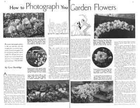 Better Homes & Gardens June 1934 Magazine Article: How to Photograph Your Garden Flowers
