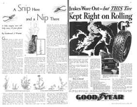 Better Homes & Gardens June 1934 Magazine Article: Page 38