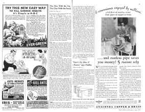 Better Homes & Gardens June 1934 Magazine Article: Page 62