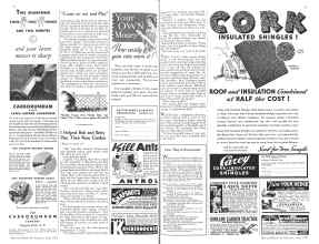 Better Homes & Gardens June 1934 Magazine Article: Page 74