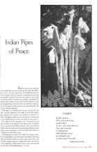 Better Homes & Gardens July 1934 Magazine Article: Indian Pipes of Peace
