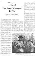 Better Homes & Gardens July 1934 Magazine Article: Tricks The Florist Whispered To Me
