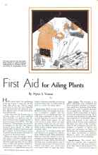 Better Homes & Gardens July 1934 Magazine Article: First Aid for Ailing Plants