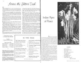Better Homes & Gardens July 1934 Magazine Article: Page 4