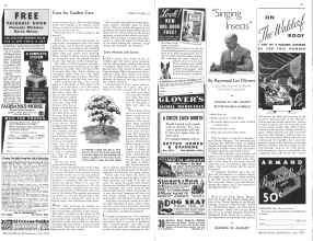 Better Homes & Gardens July 1934 Magazine Article: Page 62