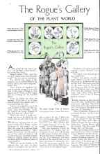 Better Homes & Gardens August 1934 Magazine Article: The Rogue's Gallery