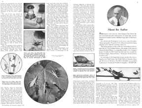 Better Homes & Gardens August 1934 Magazine Article: Page 14