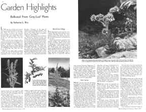 Better Homes & Gardens August 1934 Magazine Article: Garden Highlights