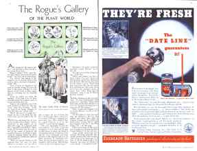 Better Homes & Gardens August 1934 Magazine Article: Page 32